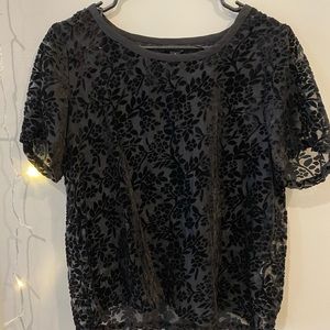 Sheer velvet top